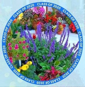 Meet your Posher, Nazreen